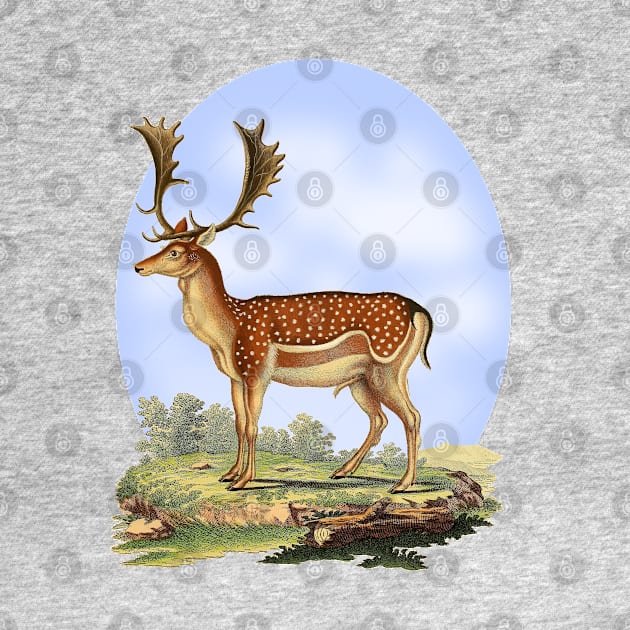 Fallow Deer Nature Illustration by Biophilia